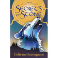 Secrets of Stone