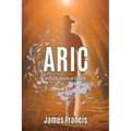 Aric: Alternate Reality in Creation