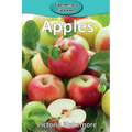 Apples