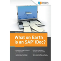 What on Earth is an SAP IDoc?