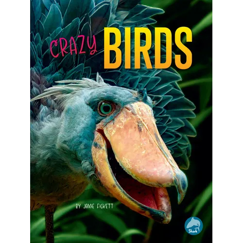 Crazy Birds