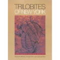 Trilobites of New York: Institutions and Social Conflict, 1946-1970