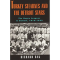 Turkey Stearnes and the Detroit Stars: he Negro Leagues in Detroit, 1919-1933