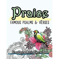 Praise: Famous Psalm and Verses Bible Quotes Adult Coloring Book: Colouring Gifts for Grownup Relaxation: Find Mindfulness in Coloring and Devotions