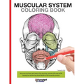 Muscular System Coloring Book: With colored illustrations like what you see on the back page