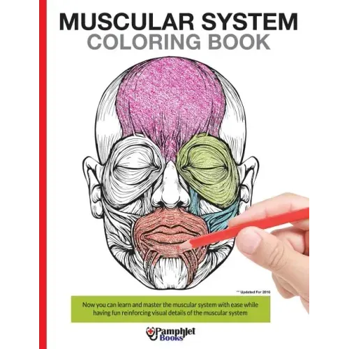 Muscular System Coloring Book: With colored illustrations like what you see on the back page