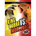 King Cobra vs. Mongoose