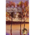 Floodwater