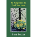 So Surprised to Find You Here: Poems