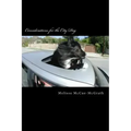 Considerations for the City Dog