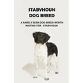 Stabyhoun Dog Breed: A Rarely Seen Dog Breed Worth Waiting for - Stabyhoun: Stabyhoun Dog Breed Information, Photos, Traits and Facts