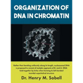 Organization of DNA in Chromatin