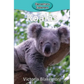 Koalas