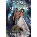 Chosen of the Shadows (The Fairy Code Book #2)