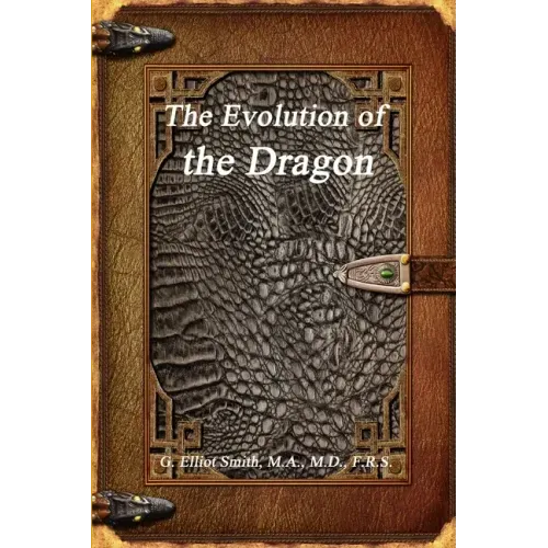 The Evolution of the Dragon
