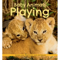 Baby Animals Playing