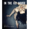 In the Ice House