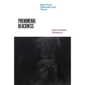 Phenomenal Blackness: Black Power, Philosophy, and Theory