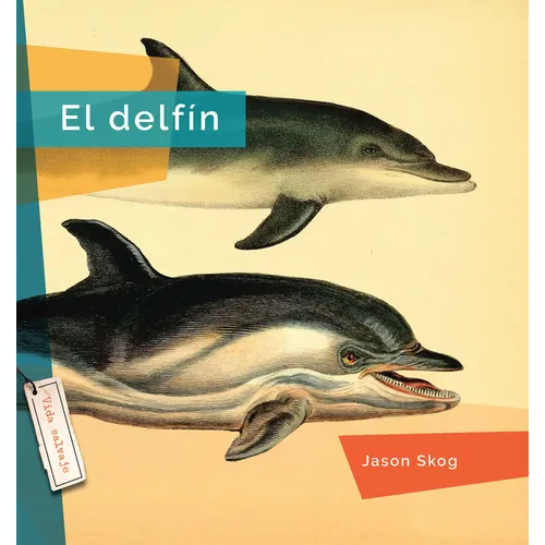 El Delfin