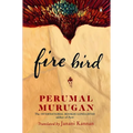 Fire Bird