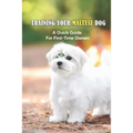 Training Your Maltese Dog: A Quick Guide For First-Time Owners: Maltese Breed Characteristic
