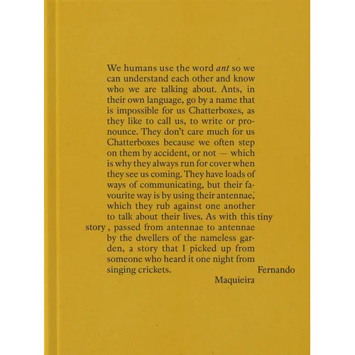 Fernando Maquieira: A Tiny Story