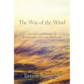 The Way of the Wind: The Path and Practice of Evolutionary Christian Mysticism