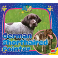 German Shorthaired Pointer