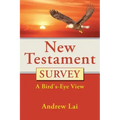 New Testament Survey: A Bird's-Eye View
