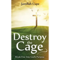 Destroy the Cage: Break Free Into God's Purpose