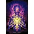 For the Sake of Evolution: The Indigo Child