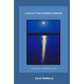 Lake of the Shining Arrow: A History of Brown's Lake