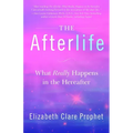 The Afterlife: What Really Happens in the Hereafter