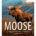 Moose: Crowned Giant of the Northern Wilderness
