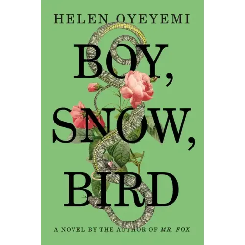 Boy, Snow, Bird