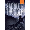 Saddle on Thunder