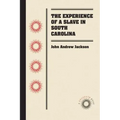 The Experience of a Slave in South Carolina