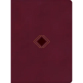 CSB Day-By-Day Chronological Bible, Burgundy Leathertouch