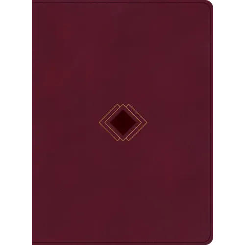 CSB Day-By-Day Chronological Bible, Burgundy Leathertouch