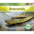 Anaconda