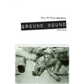 Ground Bound: a novel in verse