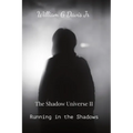 Running in the Shadows: The Shadow Universe II