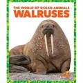 Walruses