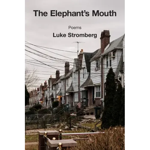 The Elephant's Mouth