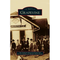 Grapevine