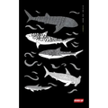 Diving Log Book: Sharks