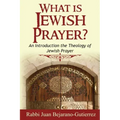 What is Jewish Prayer?: An Introduction the Theology of Jewish Prayer