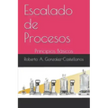 Escalado de Procesos: Principios Básicos