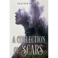A Collection of Scars