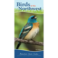 Birds of the Northwest: Your Way to Easily Identify Backyard Birds